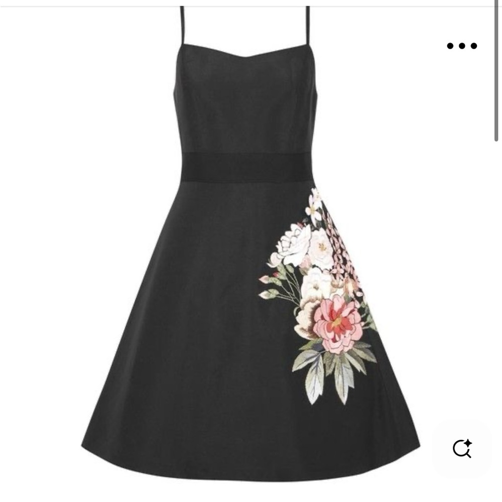 Sachin + Babi Elegant Black Floral Embroidered A line Dress